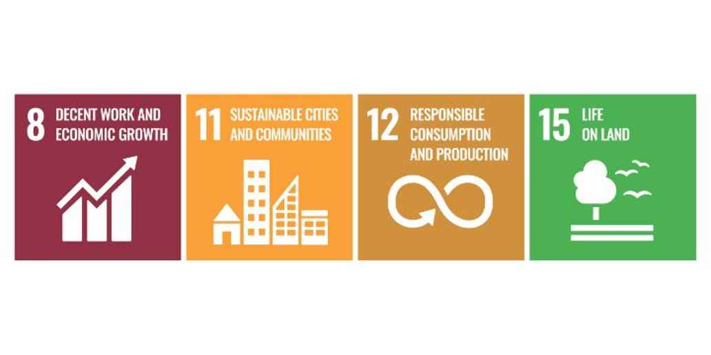 Smurfit WestRock addresses Sustainable Development Goals 8, 11, 12 & 15